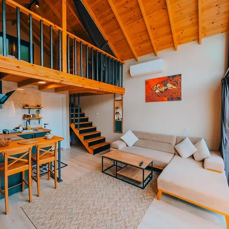 Sapancaacarkonaklama Alpehytte