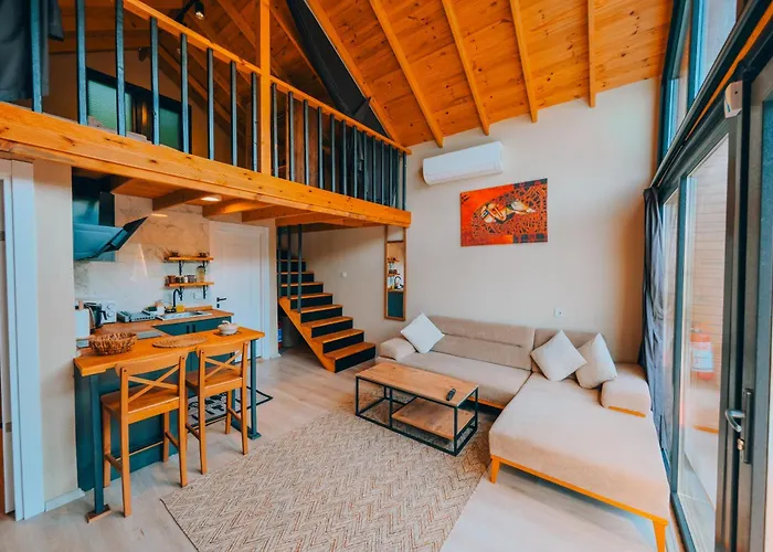 Sapancaacarkonaklama Alpehytte